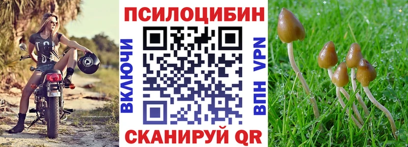 Купить  Пестово  Псилоцибиновые грибы мухоморы 